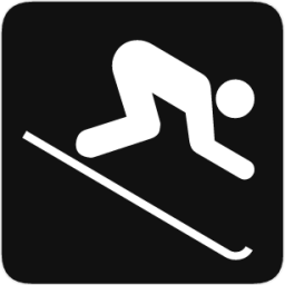 skiing downhill icon
