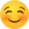 Smiling face with smiling eyes emoji emoji