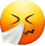 Sneezing Face emoji