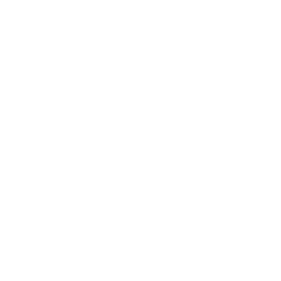 SnowGem Cryptocurrency icon