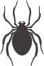 spider shadowgraph emoji