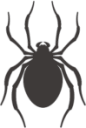 spider shadowgraph emoji