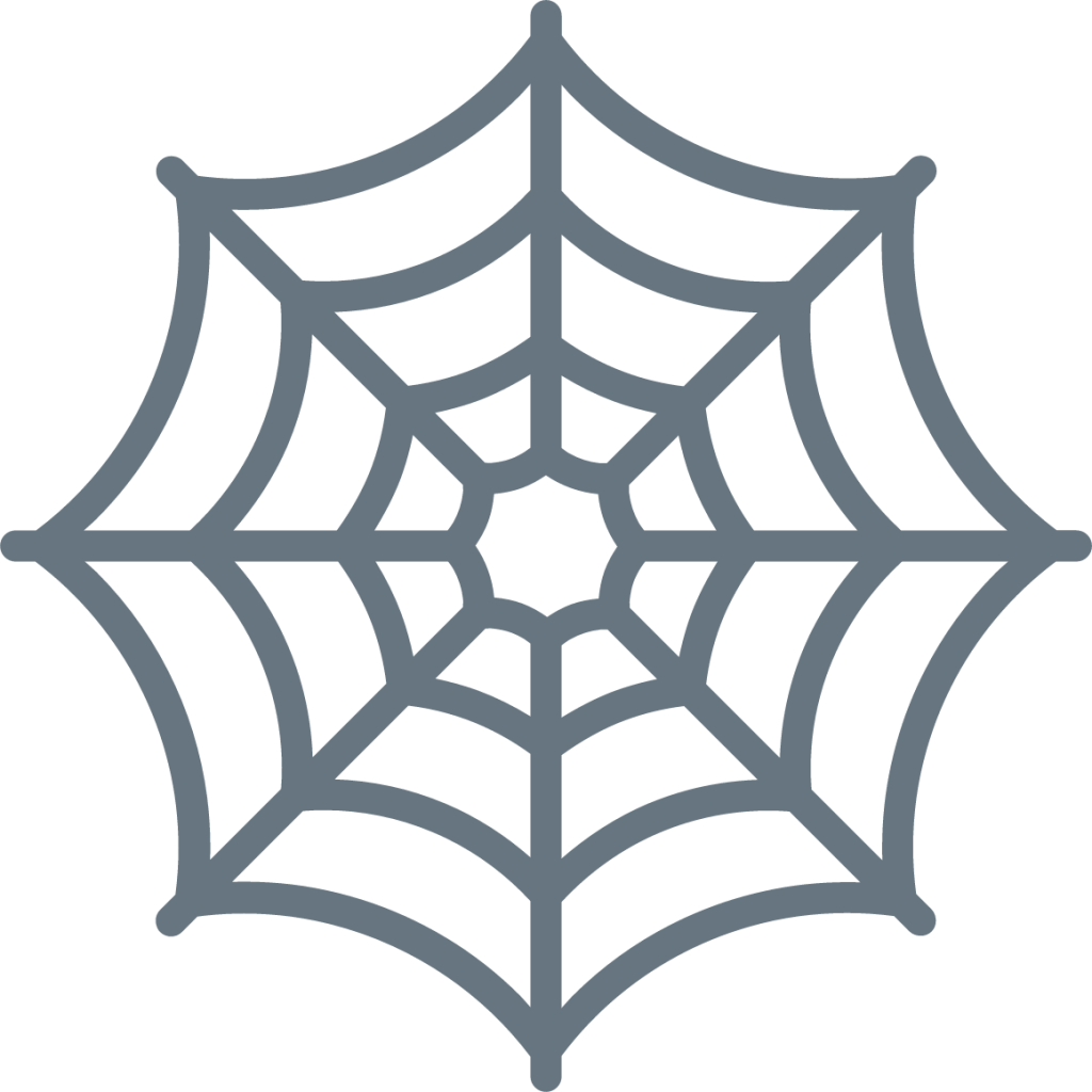 spider web emoji