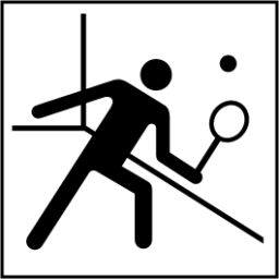 squash court icon