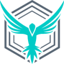 stackhawk icon