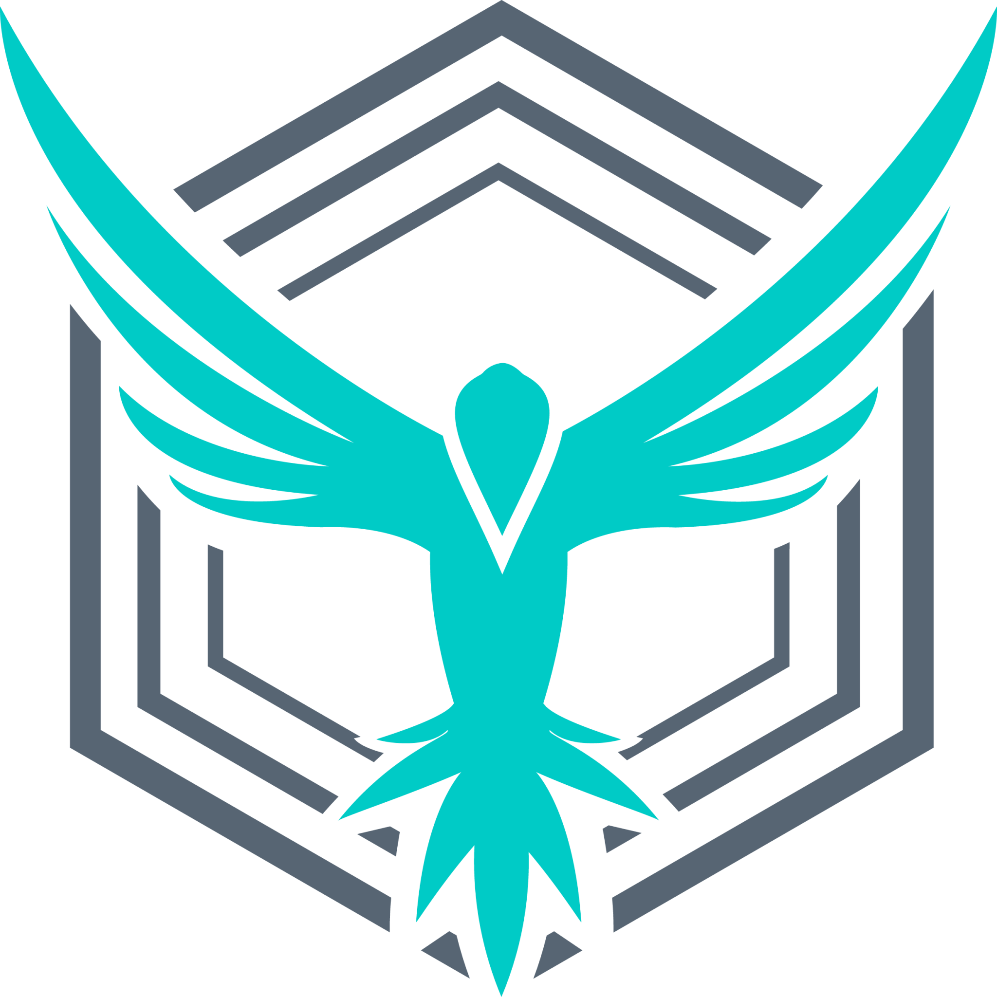 stackhawk icon