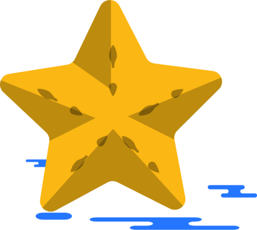 starfish illustration