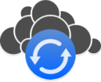 state sync icon