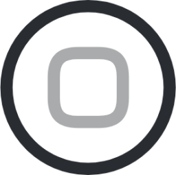stop circle icon