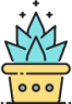 succulent icon