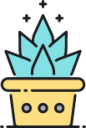 succulent icon
