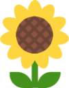 sunflower emoji