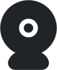 surveillance (rounded filled) icon