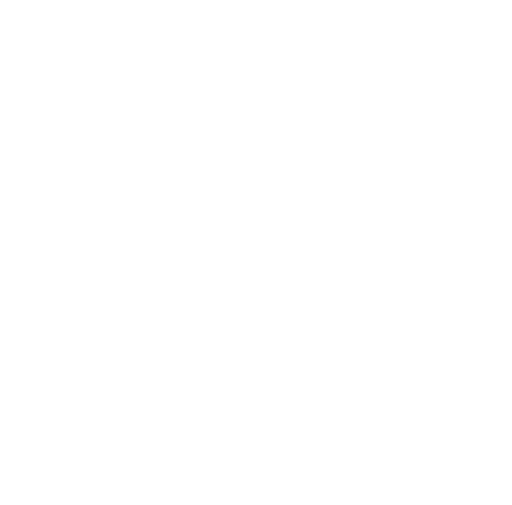 svn icon
