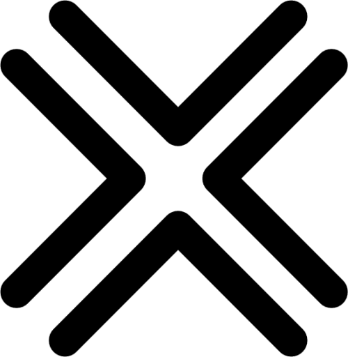 symbol double x icon