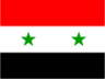 Syrian Arab Republic icon