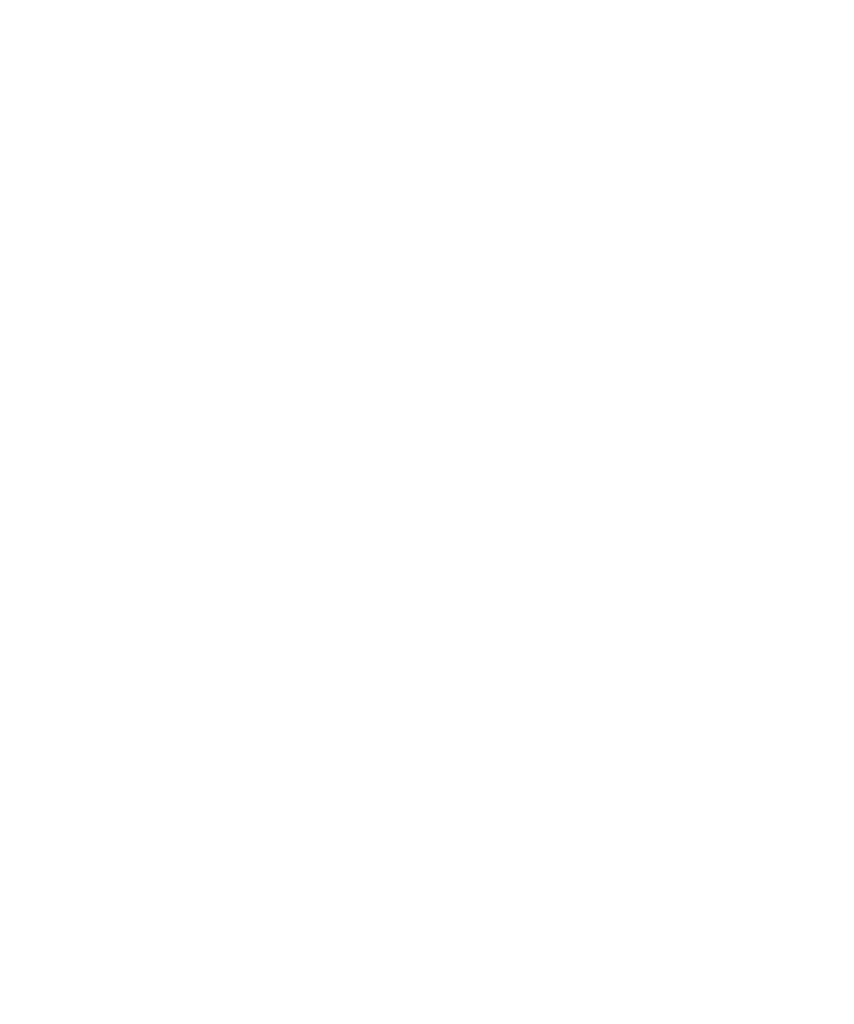 tablet portrait icon