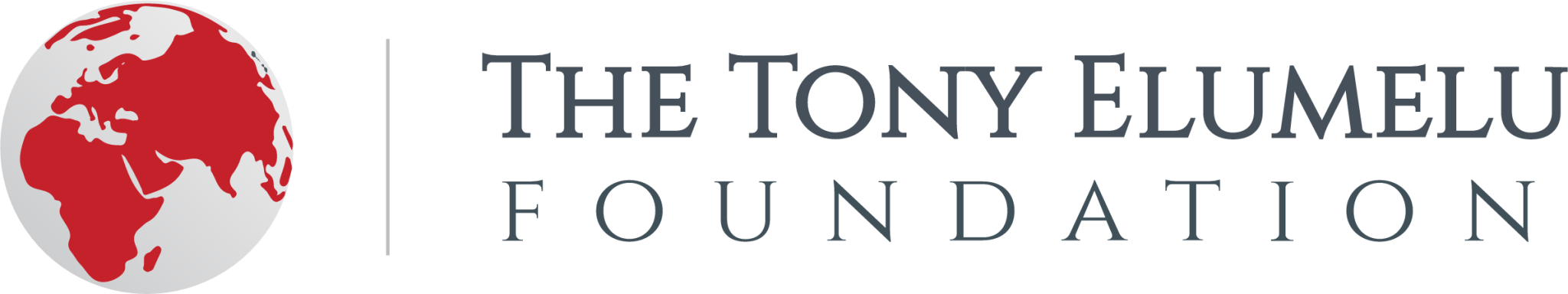 The Tony Elumelu Foundation icon