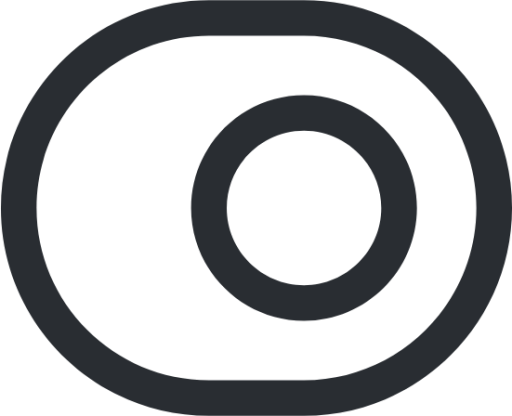 toggle on circle icon