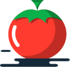 tomato illustration
