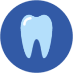 tooth circle icon