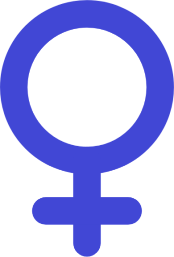 travel wayfinder woman symbol geometric gender female person human user icon