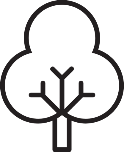 tree decidious icon