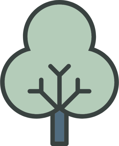 tree decidious icon