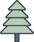 tree evergreen icon