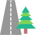 tree road icon