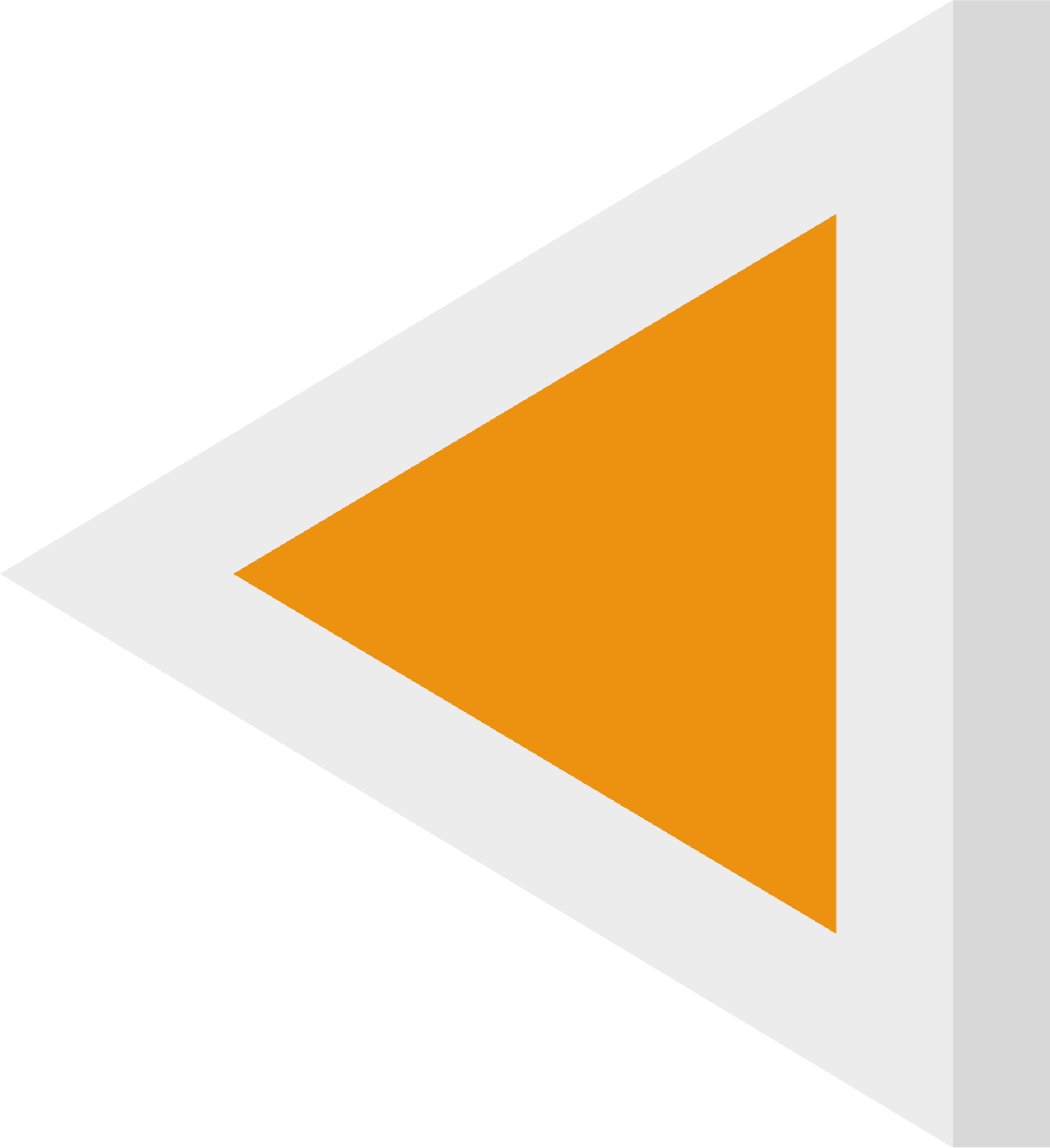 triangle left icon