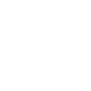 TrueUSD Cryptocurrency icon