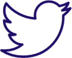 twitter bird icon