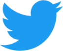 twitter color icon