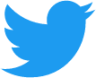 twitter color icon