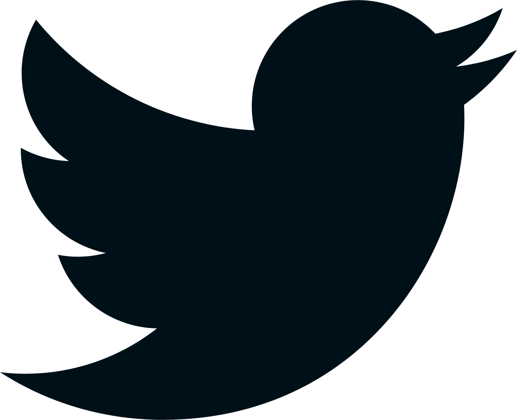 twitter fill icon