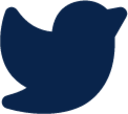 twitter fill logo icon