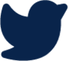 twitter fill logo icon