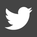 twitter square icon