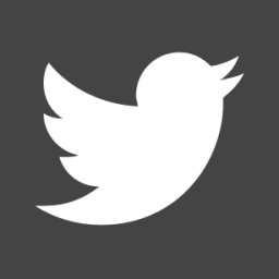 twitter square icon
