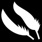 two feathers icon