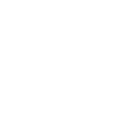 USD Coin Cryptocurrency icon