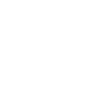 VeChain Cryptocurrency icon