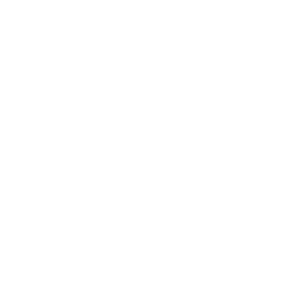 VerusCoin Cryptocurrency icon