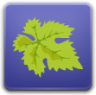 vineyard icon