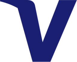 Visa icon