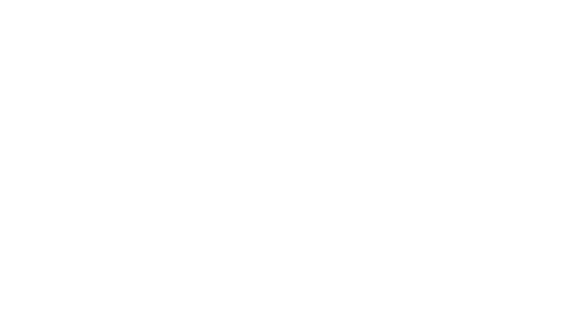 Vkontakte icon