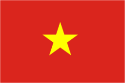 vn flag icon