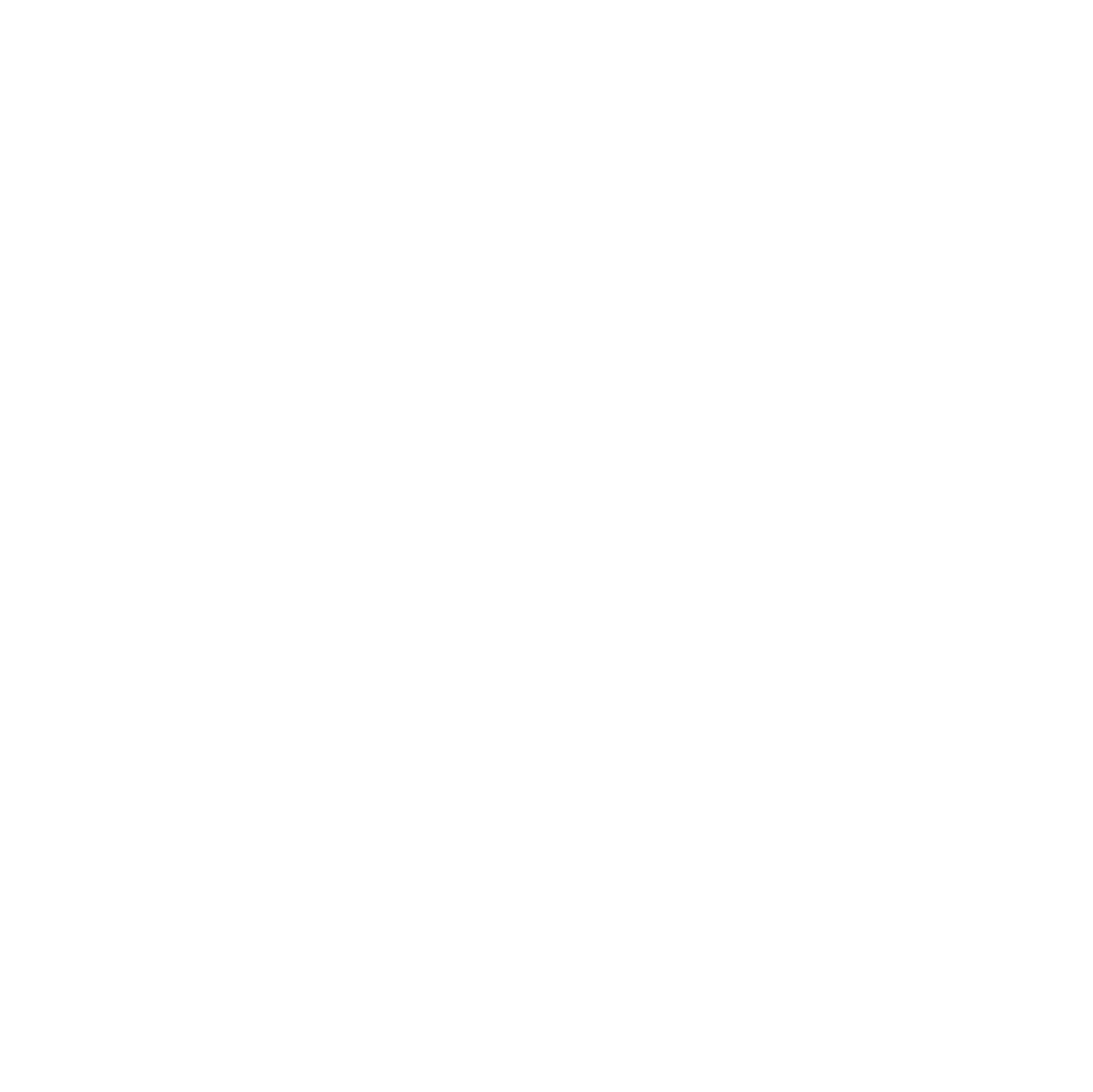 voice call icon