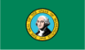 Washington icon